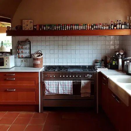Country house Mas Petit La Bisbal d'Emporda